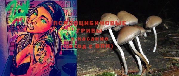 винт Алексин