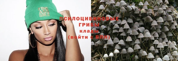 спиды Абинск