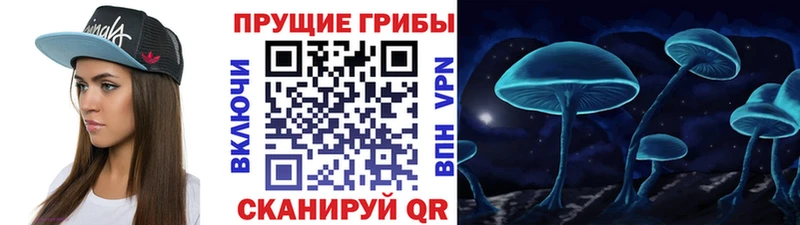 как найти закладки  darknet какой сайт  blacksprut зеркало  Псилоцибиновые грибы Cubensis  Шадринск 